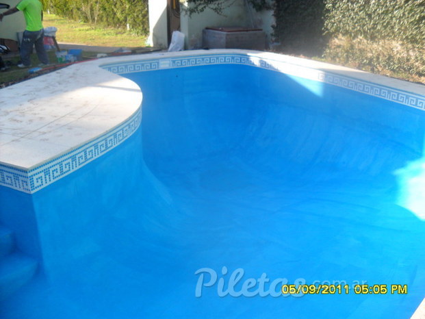 Piscina forma de riñón