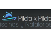 Pileta X Pileta