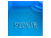 Peguir